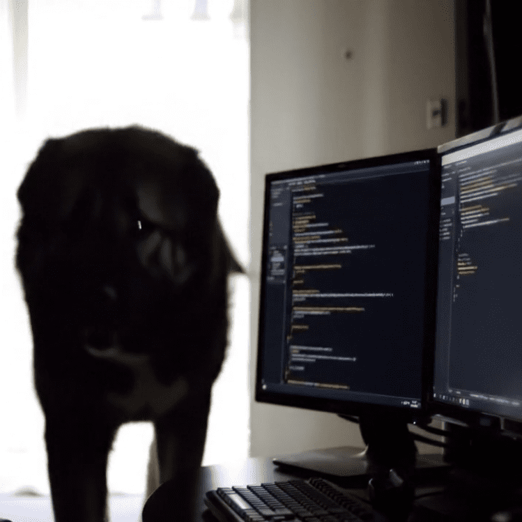 kangalCode